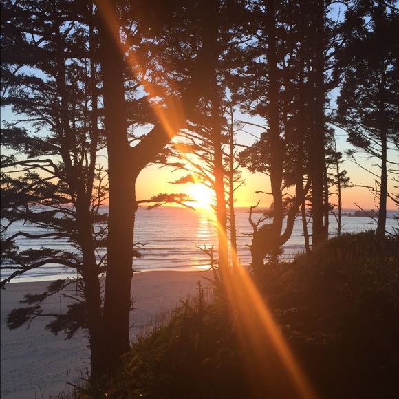 Meet your Posher, Denée - Picture 6 of 7